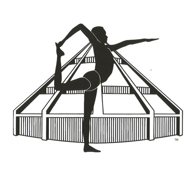 Registrovaný učitel Iyengar jógy Registrovaný učitel Iyengar jógy